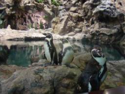 Resize of P21010085.JPG